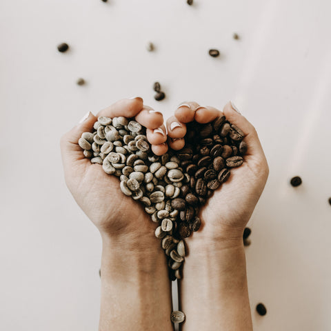 XO House Coffee: The ICON